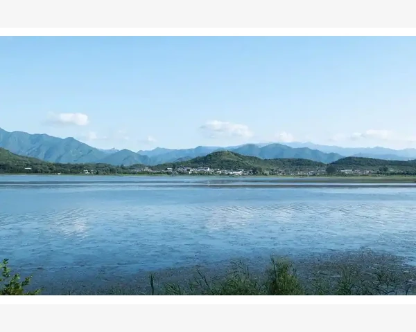 红糖金桔——中医界的首选止咳化痰良药